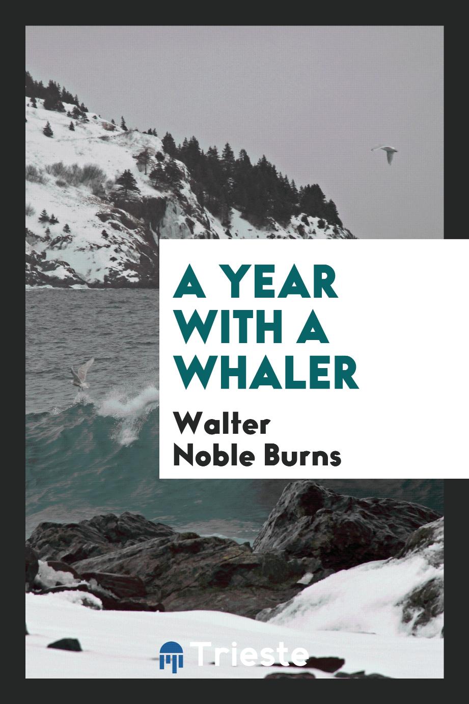A year with a whaler