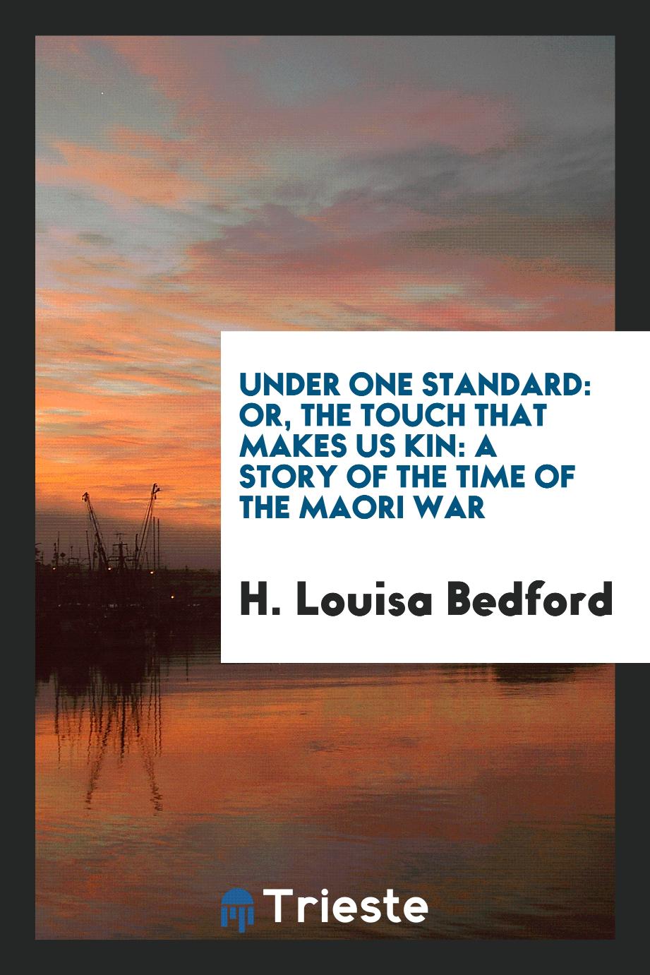 Under one standard: or, The touch that makes us kin: a story of the time of the Maori War