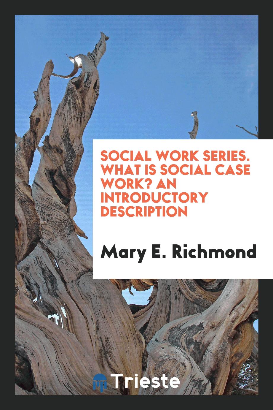 Social Work Series. What Is Social Case Work? An Introductory Description