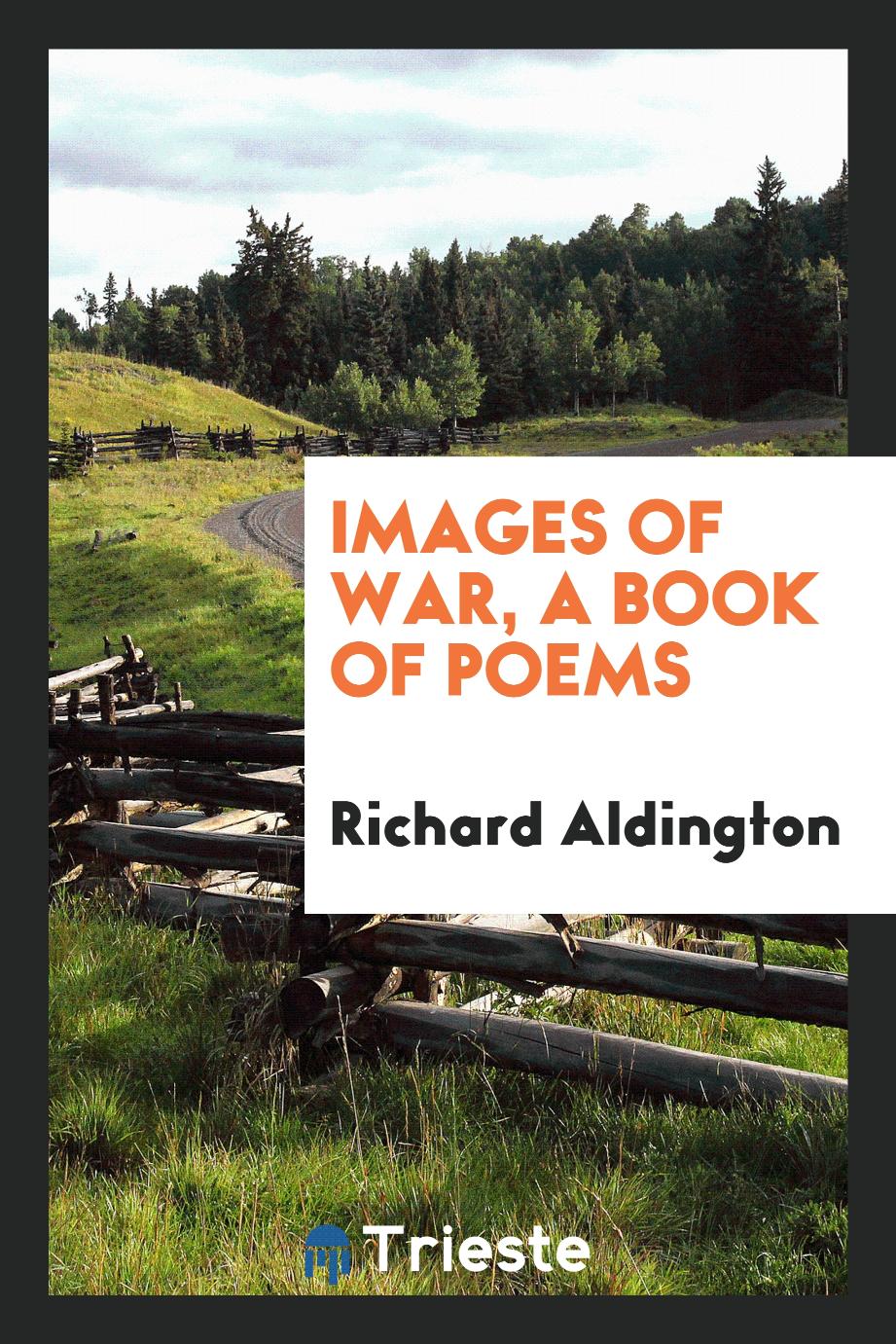 Images of war, a book of poems