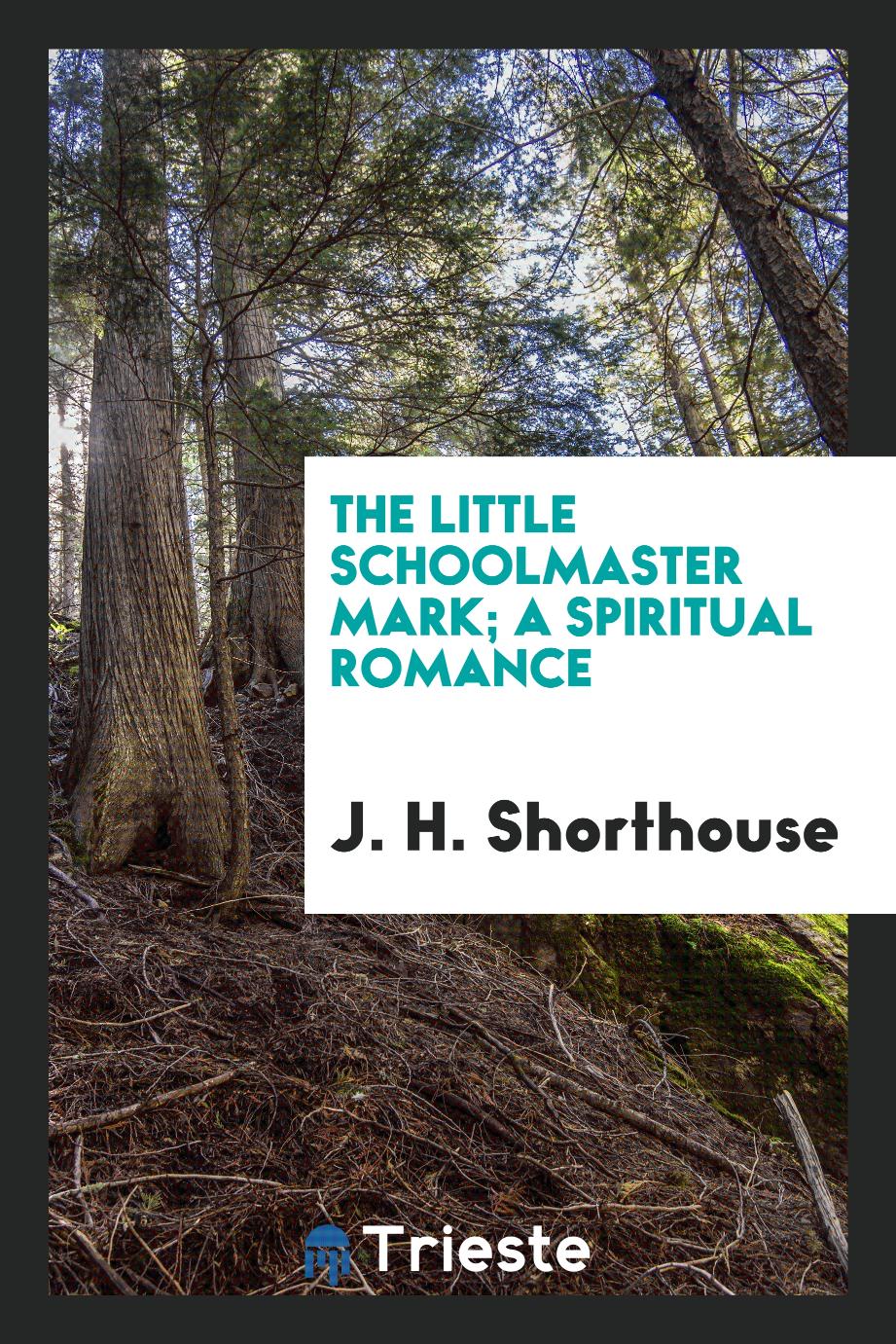 The little schoolmaster Mark; a spiritual romance