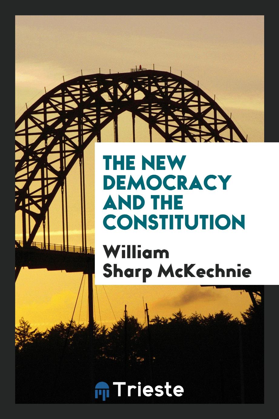 The new democracy and the Constitution