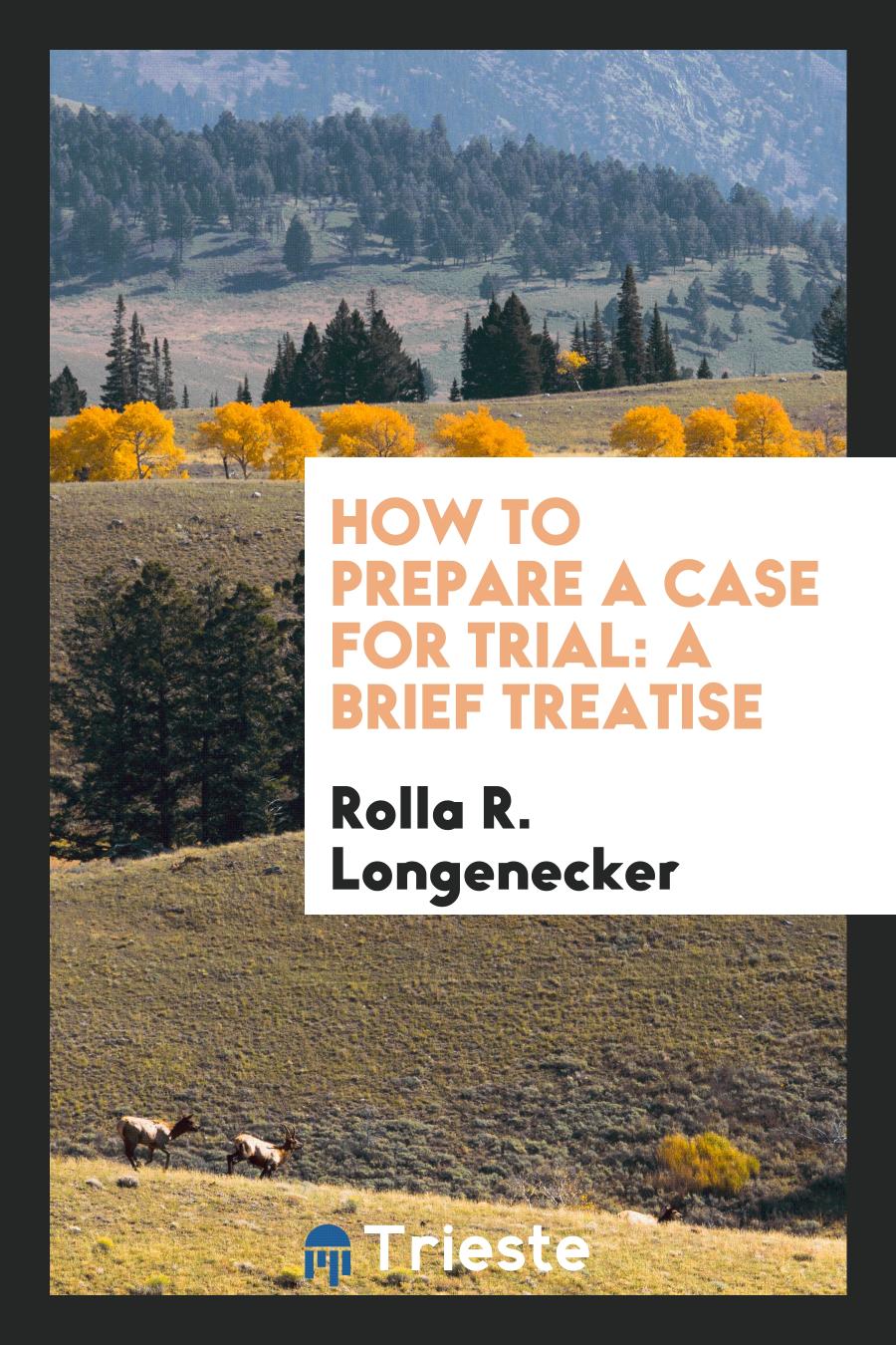 How to Prepare a Case for Trial: A Brief Treatise
