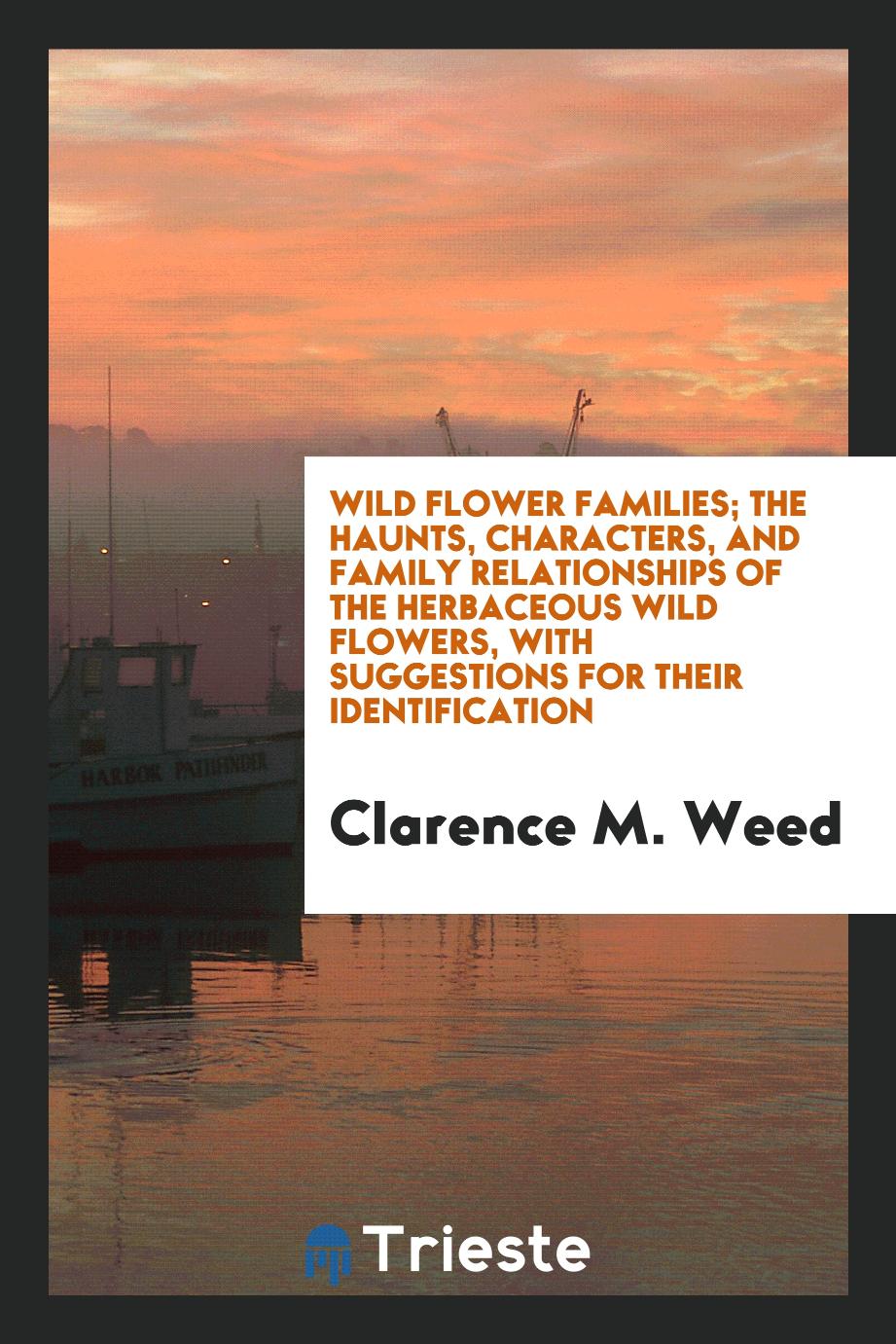 Wild flower families; the haunts, characters, and family relationships of the herbaceous wild flowers, with suggestions for their identification