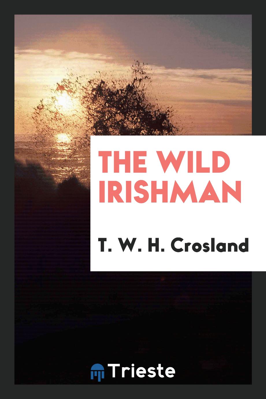 The wild Irishman