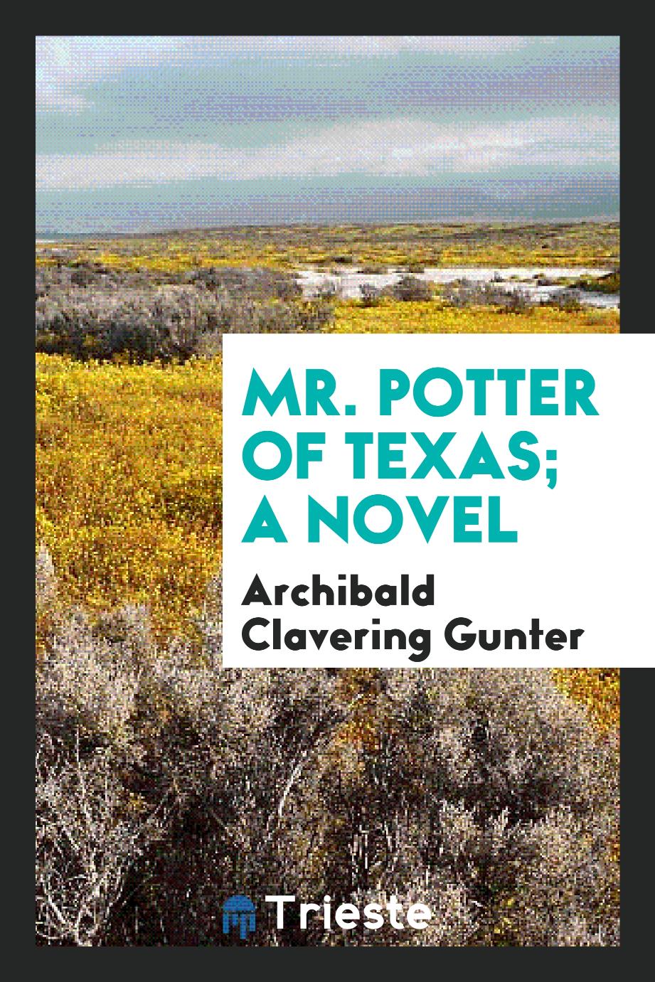 Mr. Potter of Texas; a novel