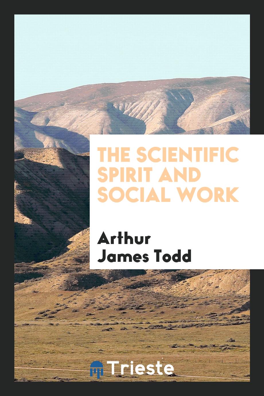 The scientific spirit and social work