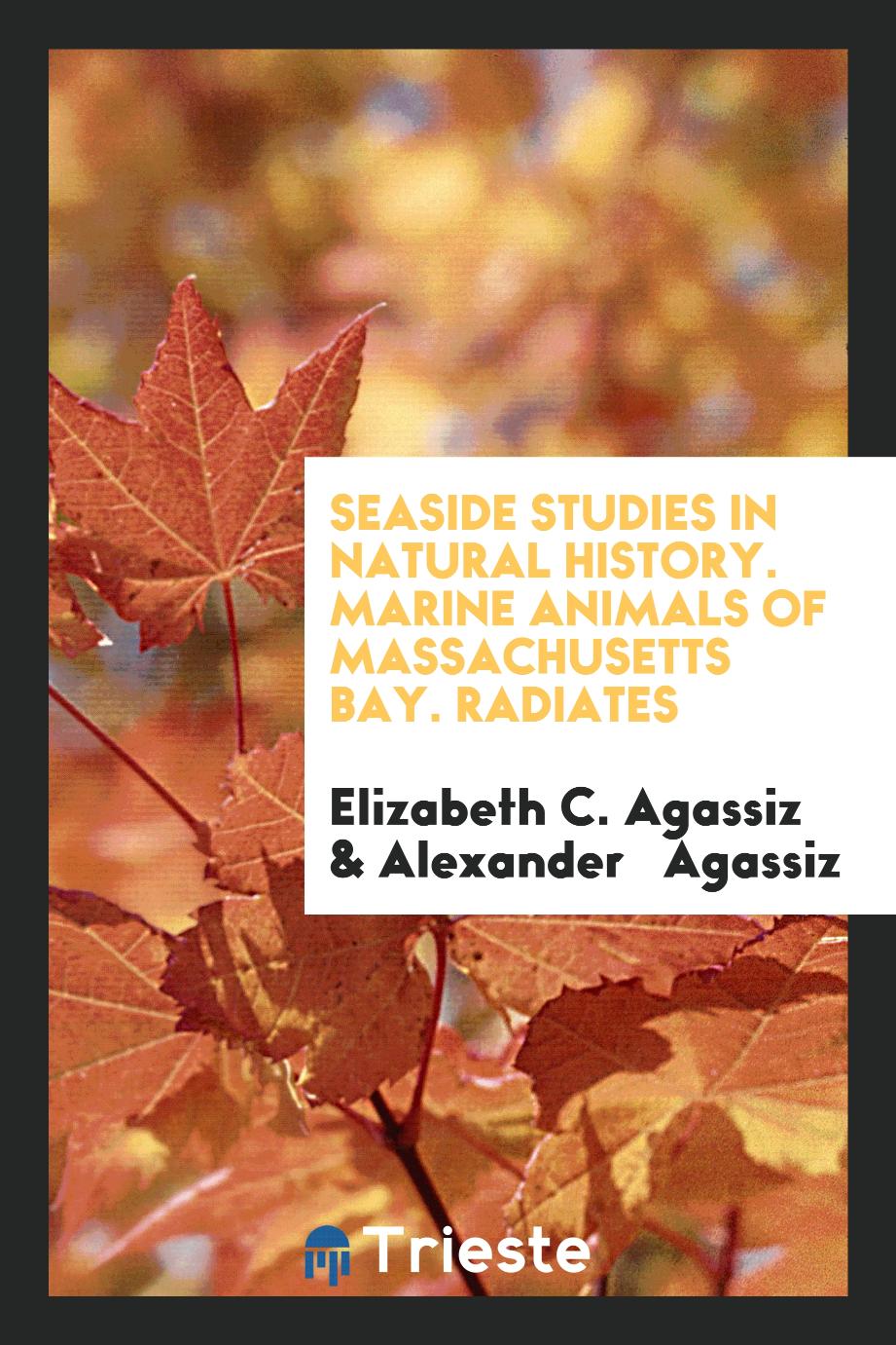 Seaside Studies in Natural History. Marine Animals of Massachusetts Bay. Radiates