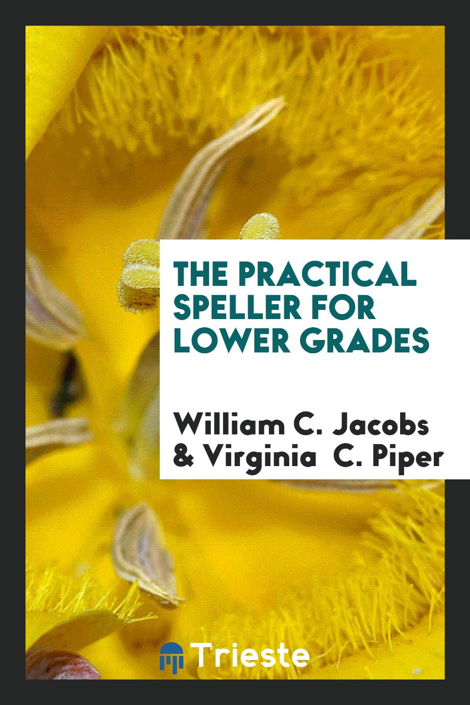 The Practical Speller for Lower Grades