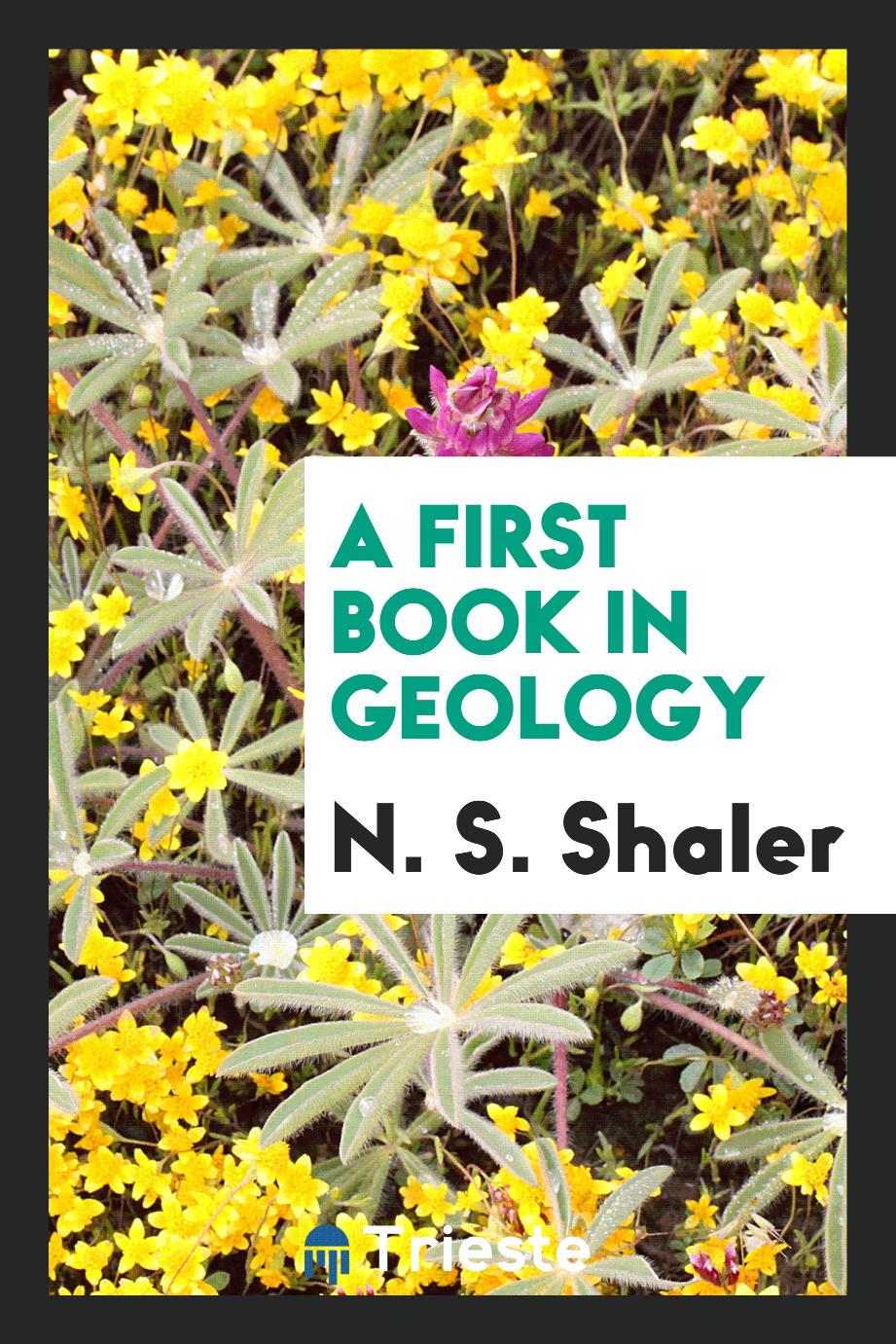 A first book in geology