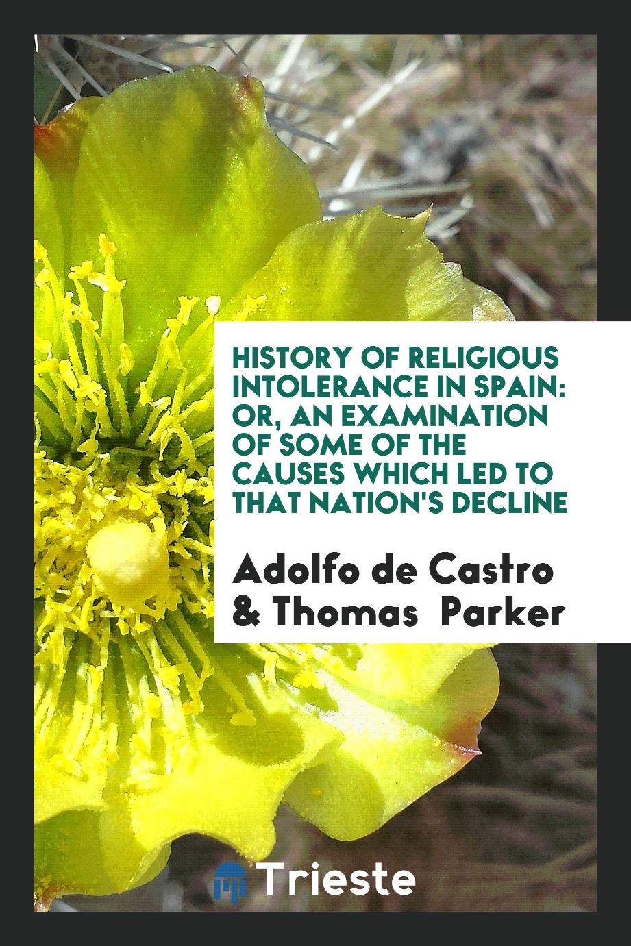History of Religious Intolerance in Spain: Or, an Examination of Some of the Causes Which Led to That Nation's Decline