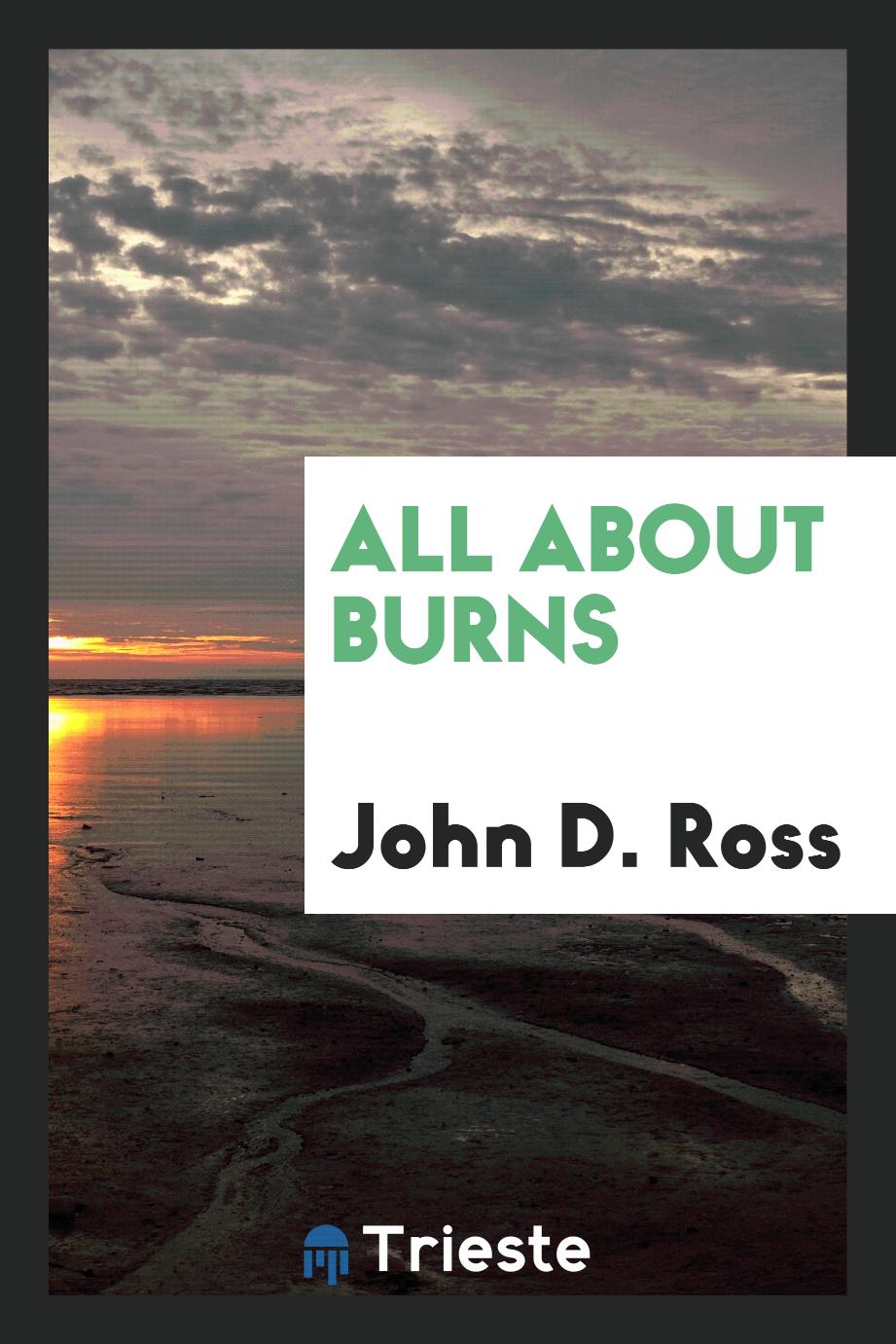 All about Burns