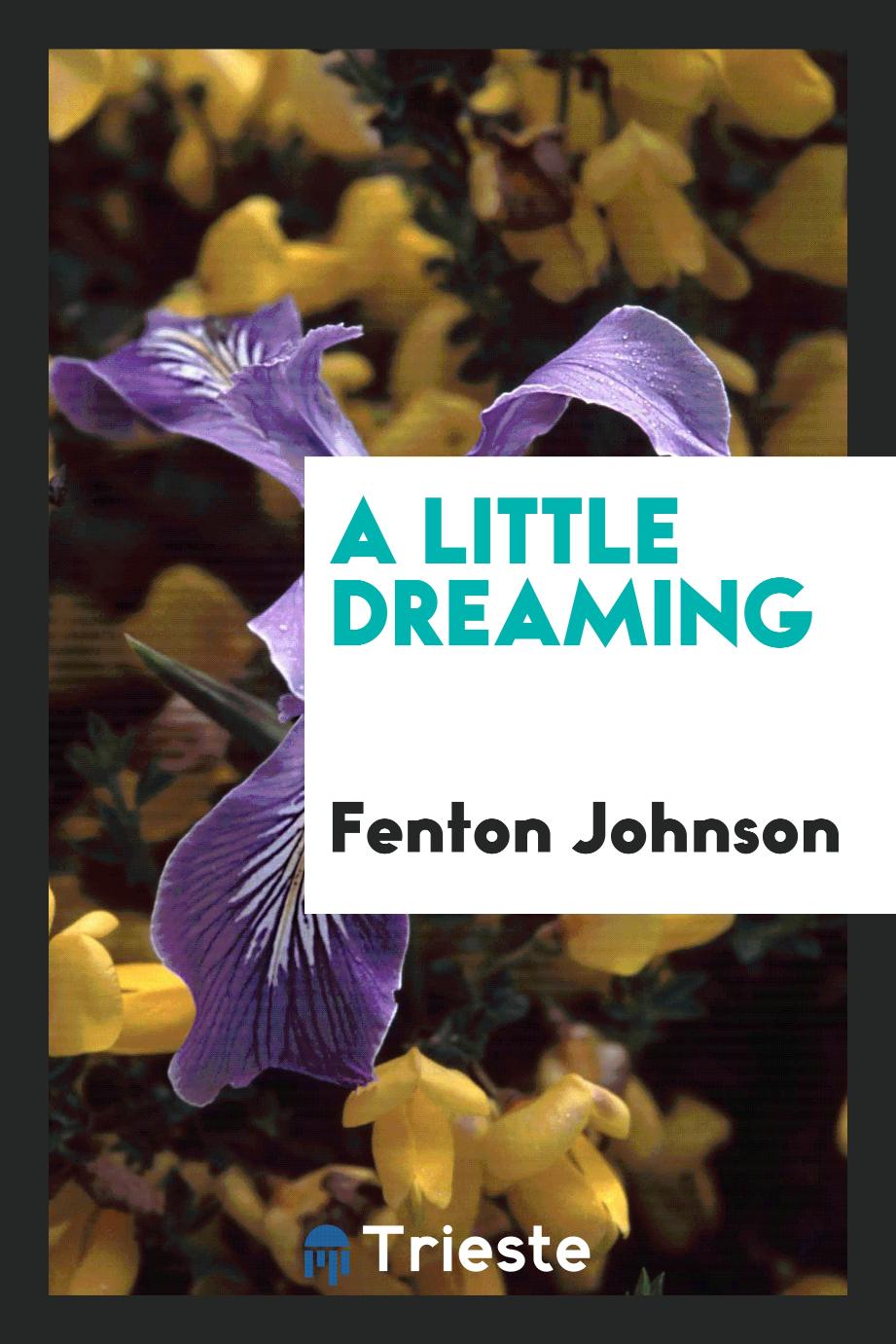 Fenton Johnson - A little dreaming