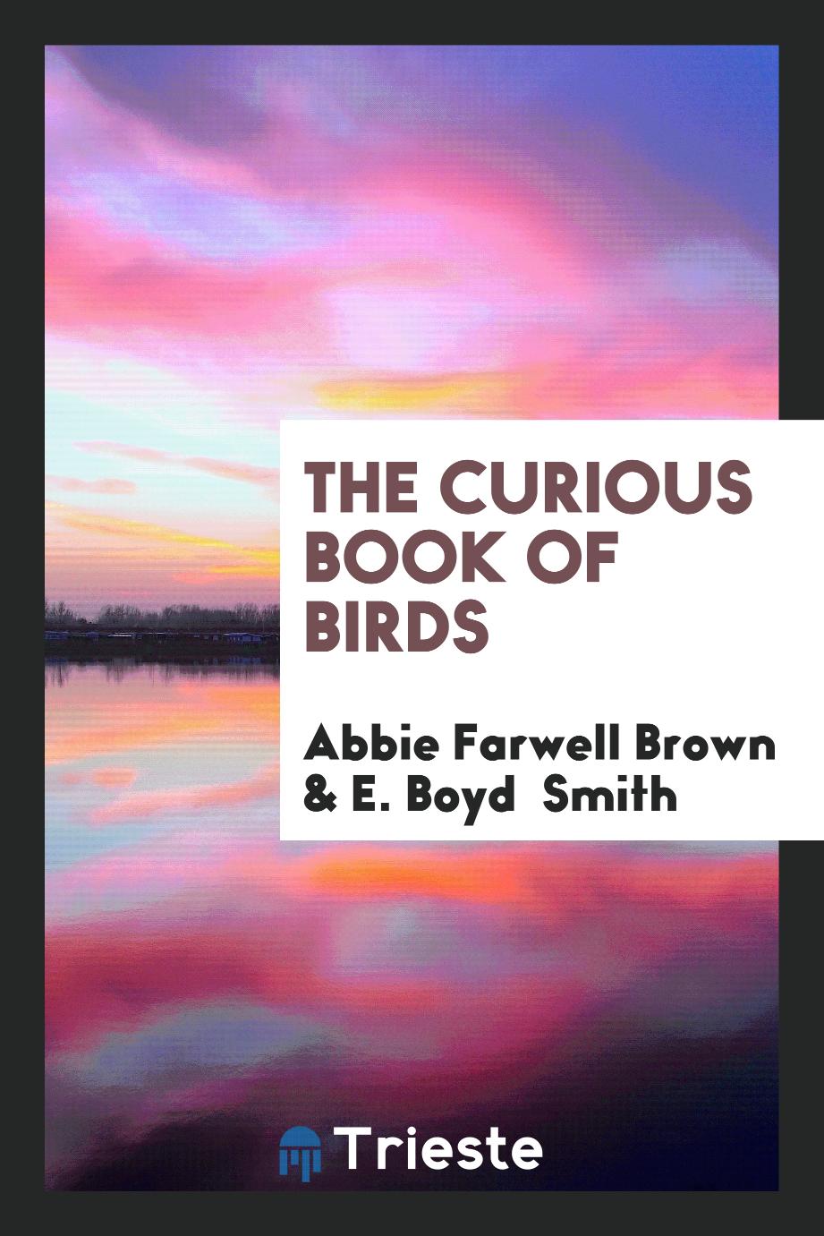 The curious book of birds