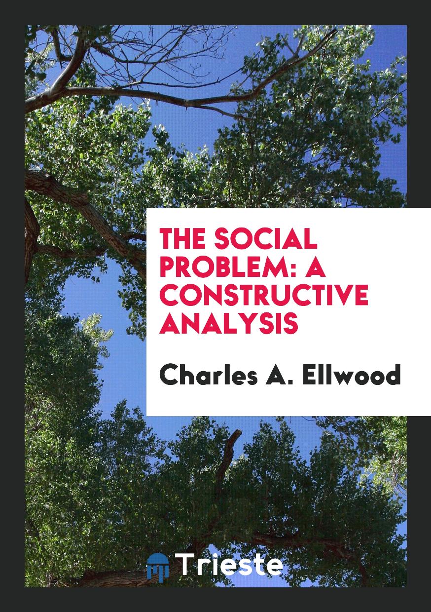 The Social Problem: A Constructive Analysis