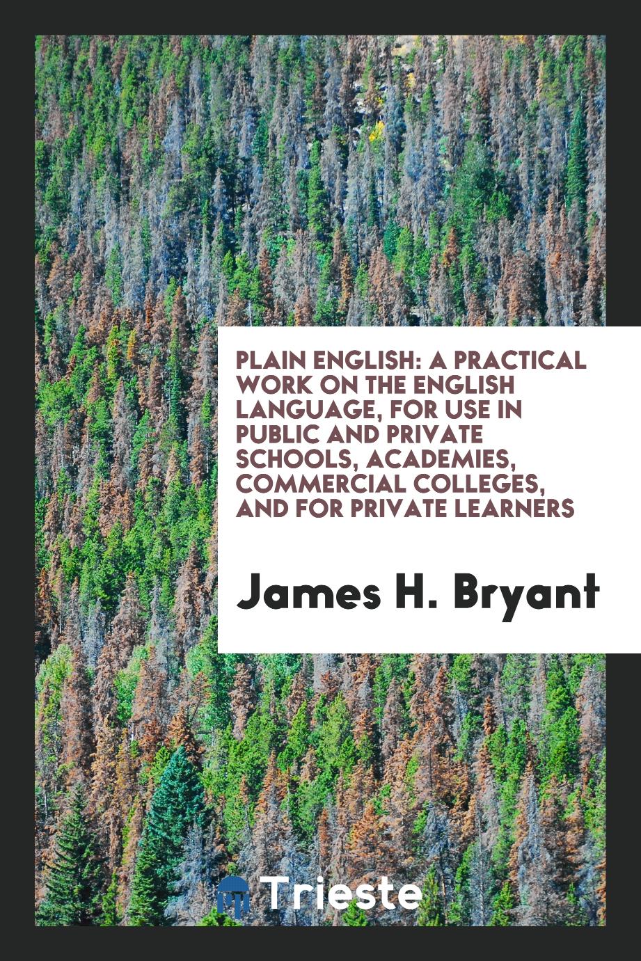 Plain English: a practical work on the English language, for use in public and private schools, academies, commercial colleges, and for private learners