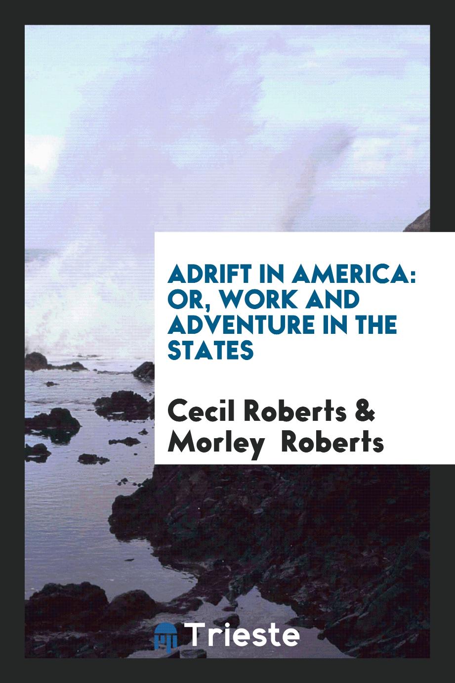 Adrift in America: Or, Work and Adventure in the States