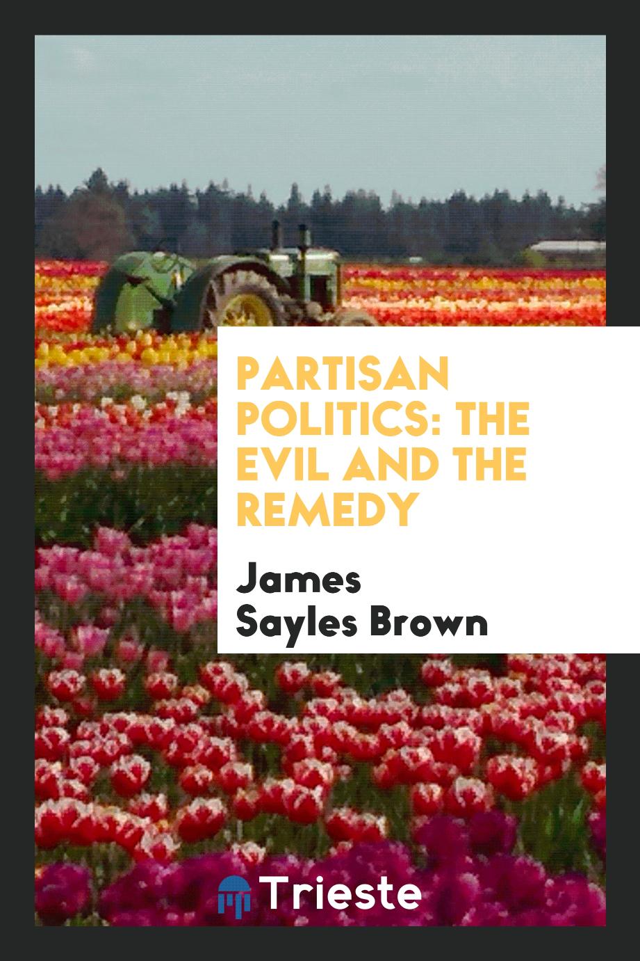 Partisan politics: the evil and the remedy