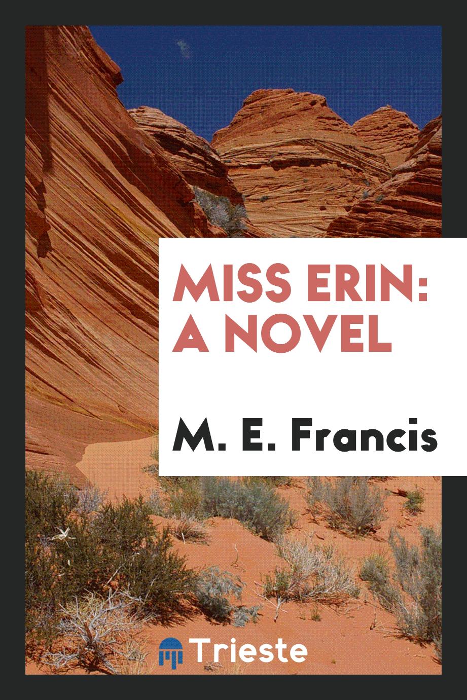 Miss Erin: A Novel