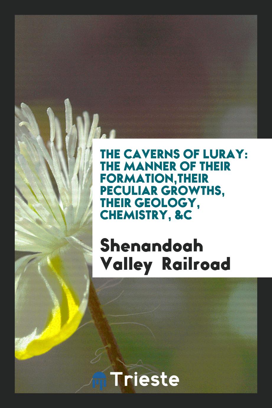 The Caverns of Luray: The Manner of Their Formation,their Peculiar Growths, Their Geology, Chemistry, &c