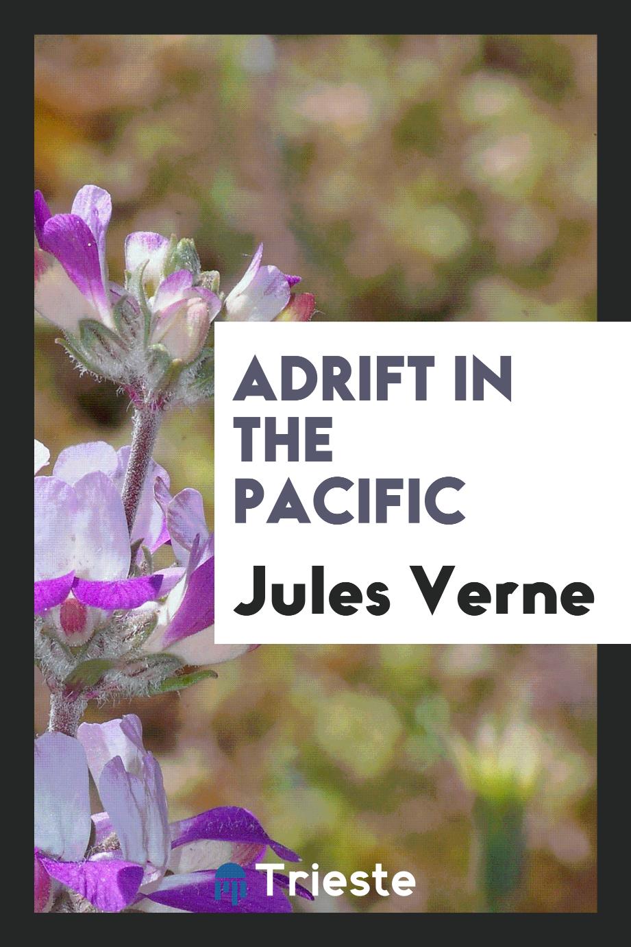 Adrift in the Pacific