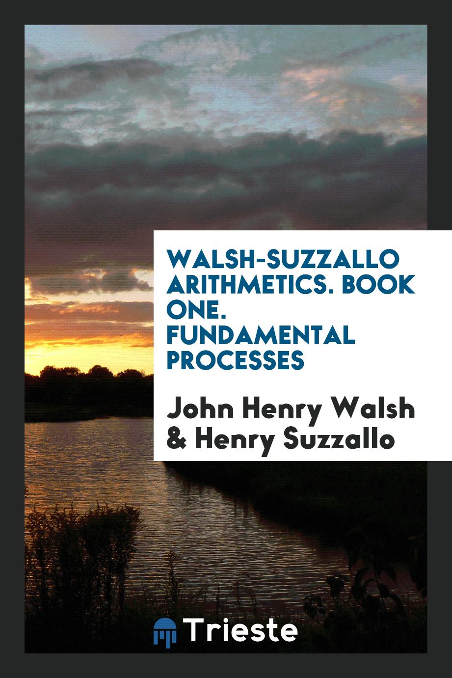 Walsh-Suzzallo arithmetics. Book one. Fundamental processes