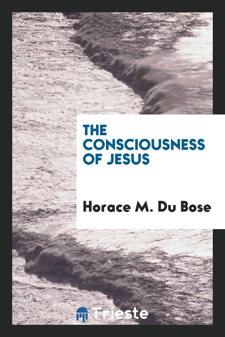 The Consciousness of Jesus