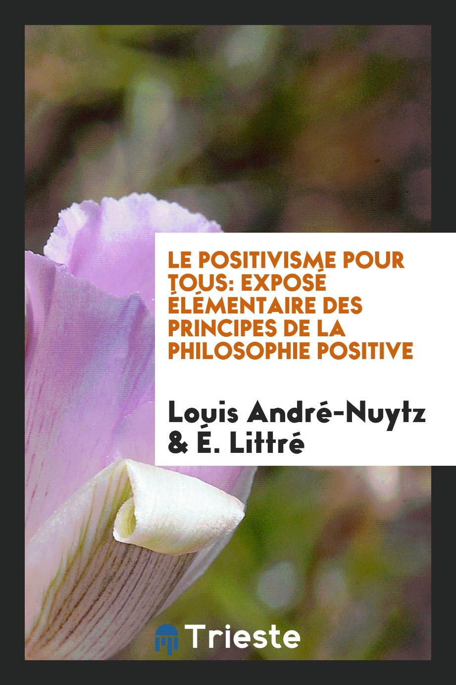 Louis André-Nuytz, É. Littré - Le Positivisme Pour Tous: Exposé Élémentaire des Principes de la Philosophie Positive
