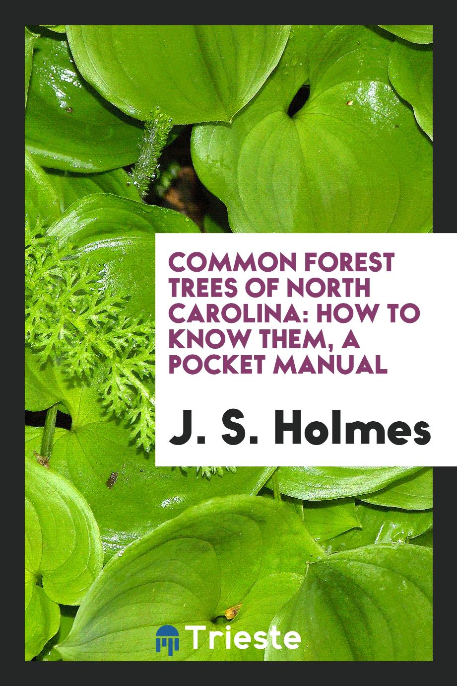 Common forest trees of North Carolina: how to know them, a pocket manual