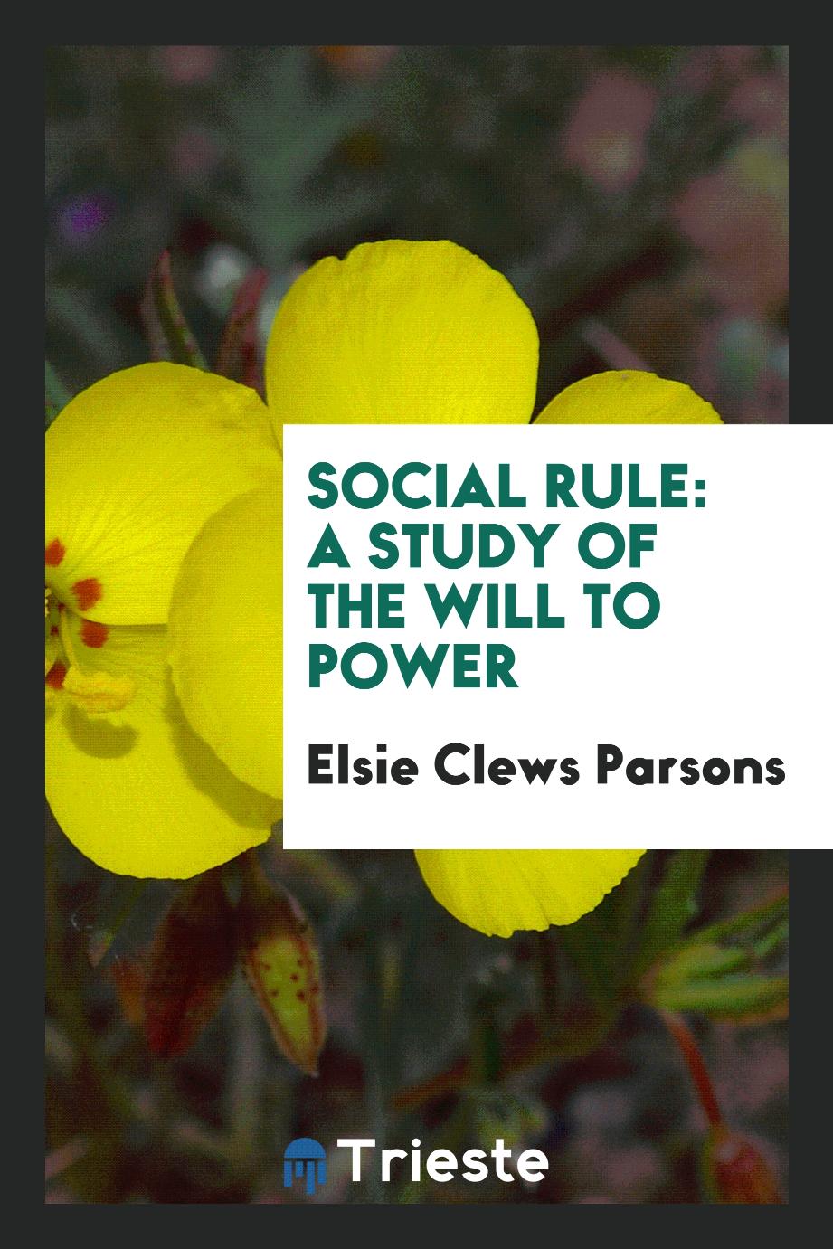 Social Rule: A Study of the Will to Power