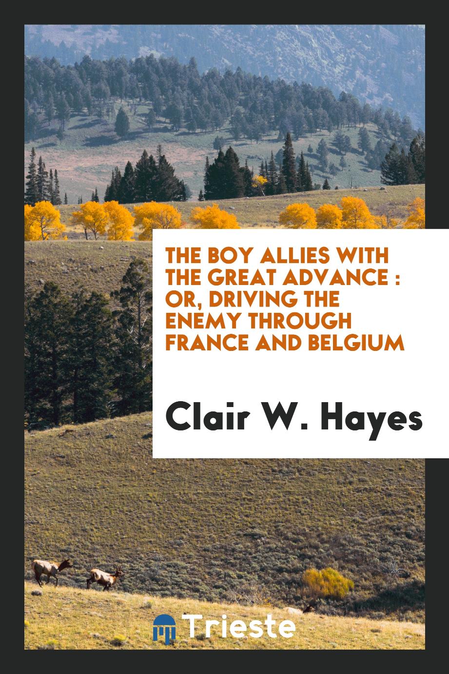 The boy allies with the great advance : or, Driving the enemy through France and Belgium