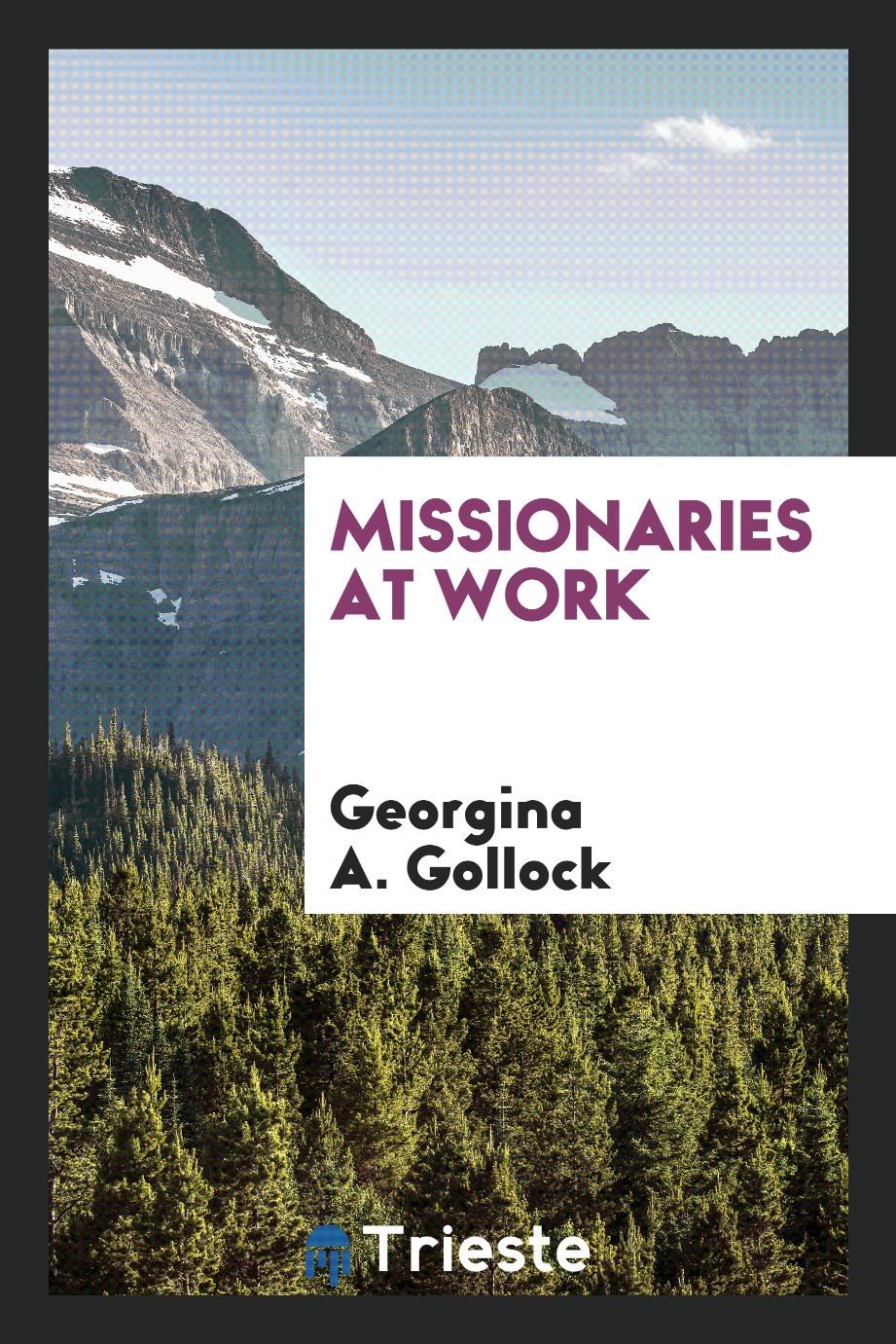 Missionaries at Work