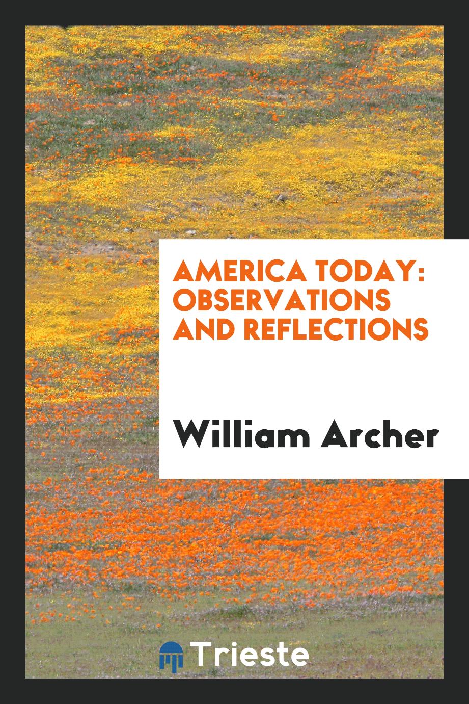 America Today: Observations and Reflections