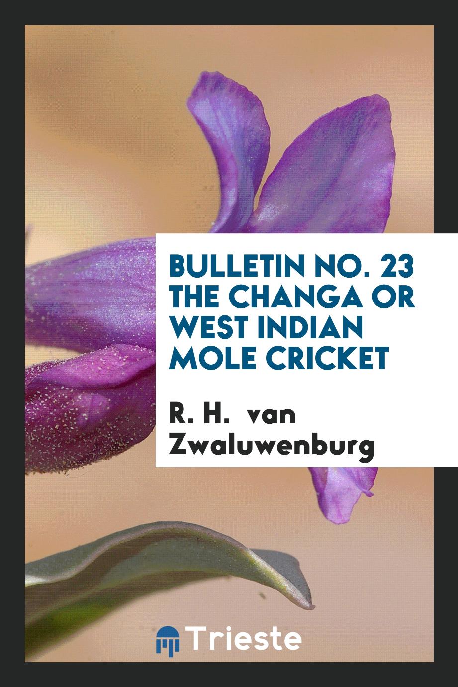 Bulletin No. 23 The changa or west indian mole cricket