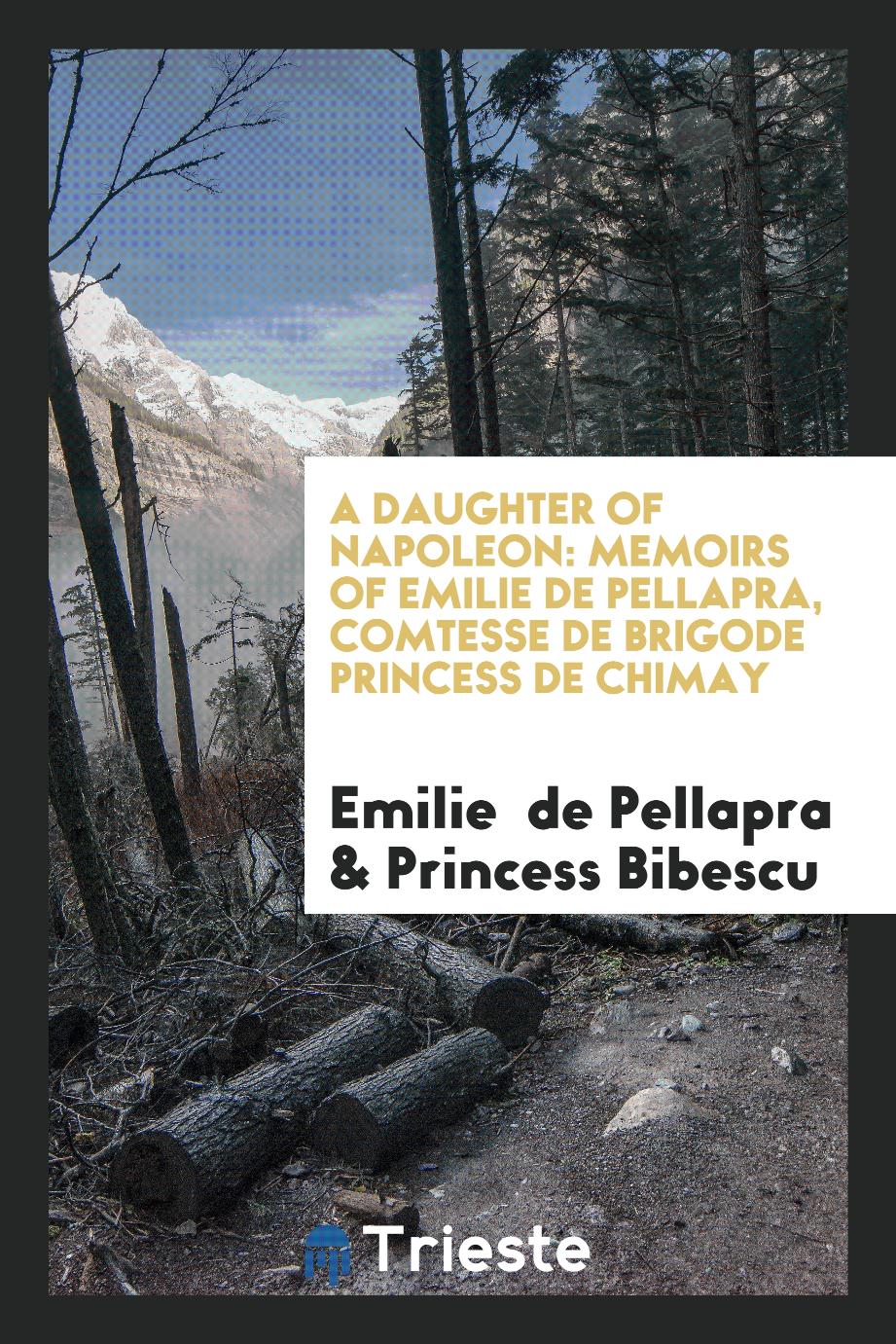 A Daughter of Napoleon: Memoirs of Emilie de Pellapra, Comtesse de Brigode Princess de Chimay
