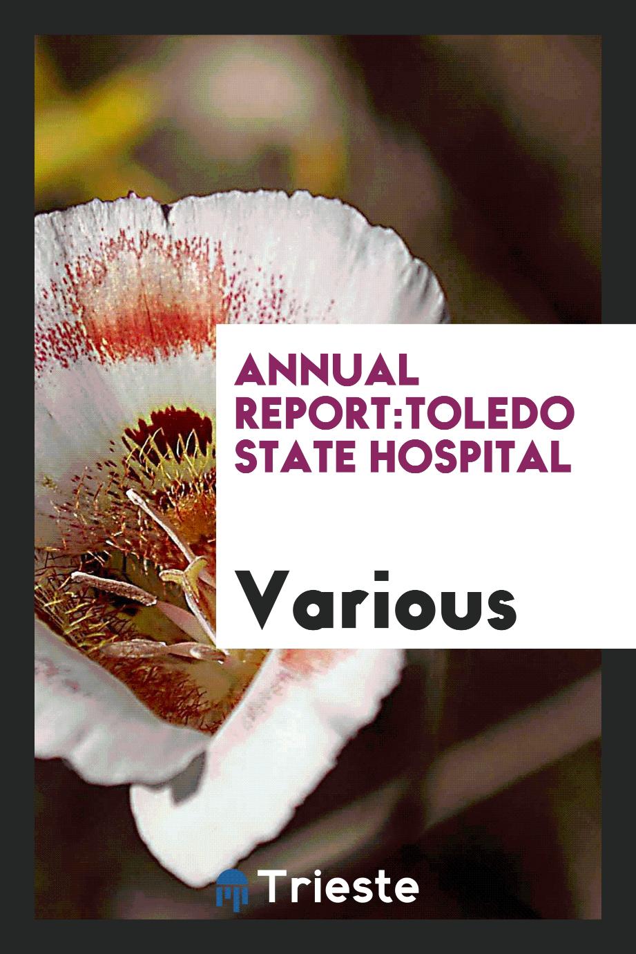 Annual Report:Toledo State Hospital