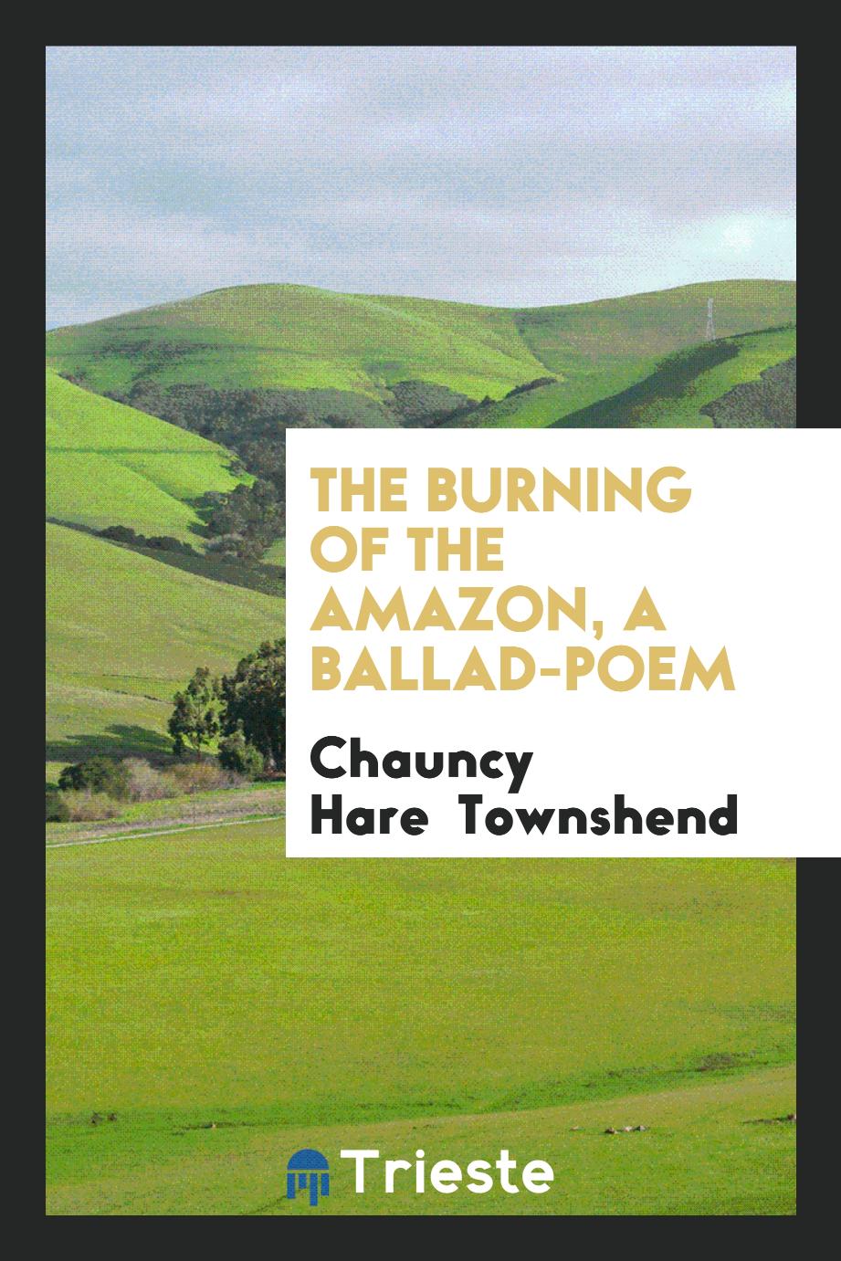 The burning of the Amazon, a ballad-poem