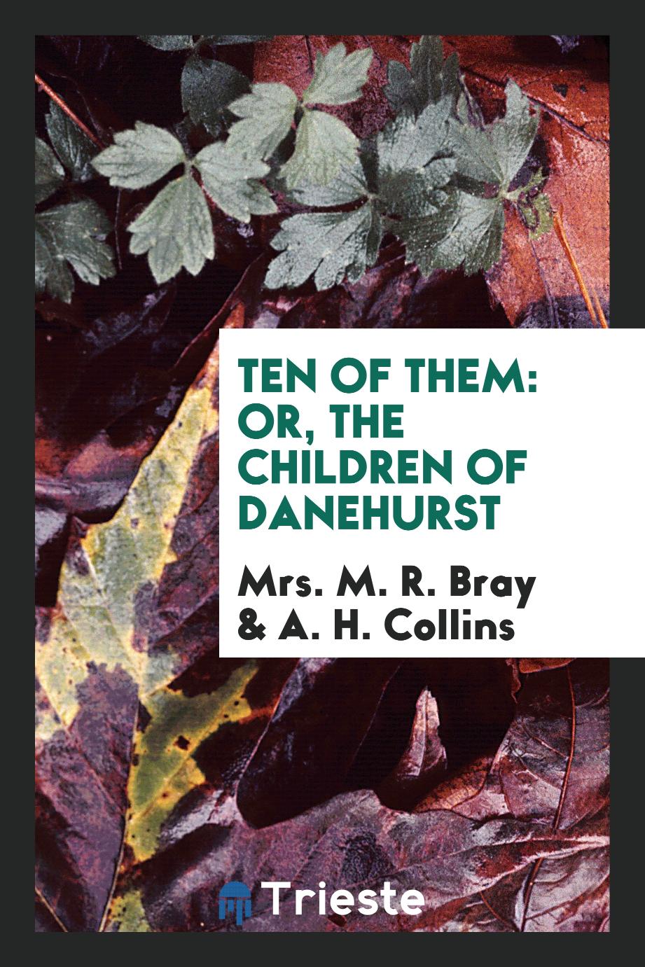 Ten of Them: Or, the Children of Danehurst