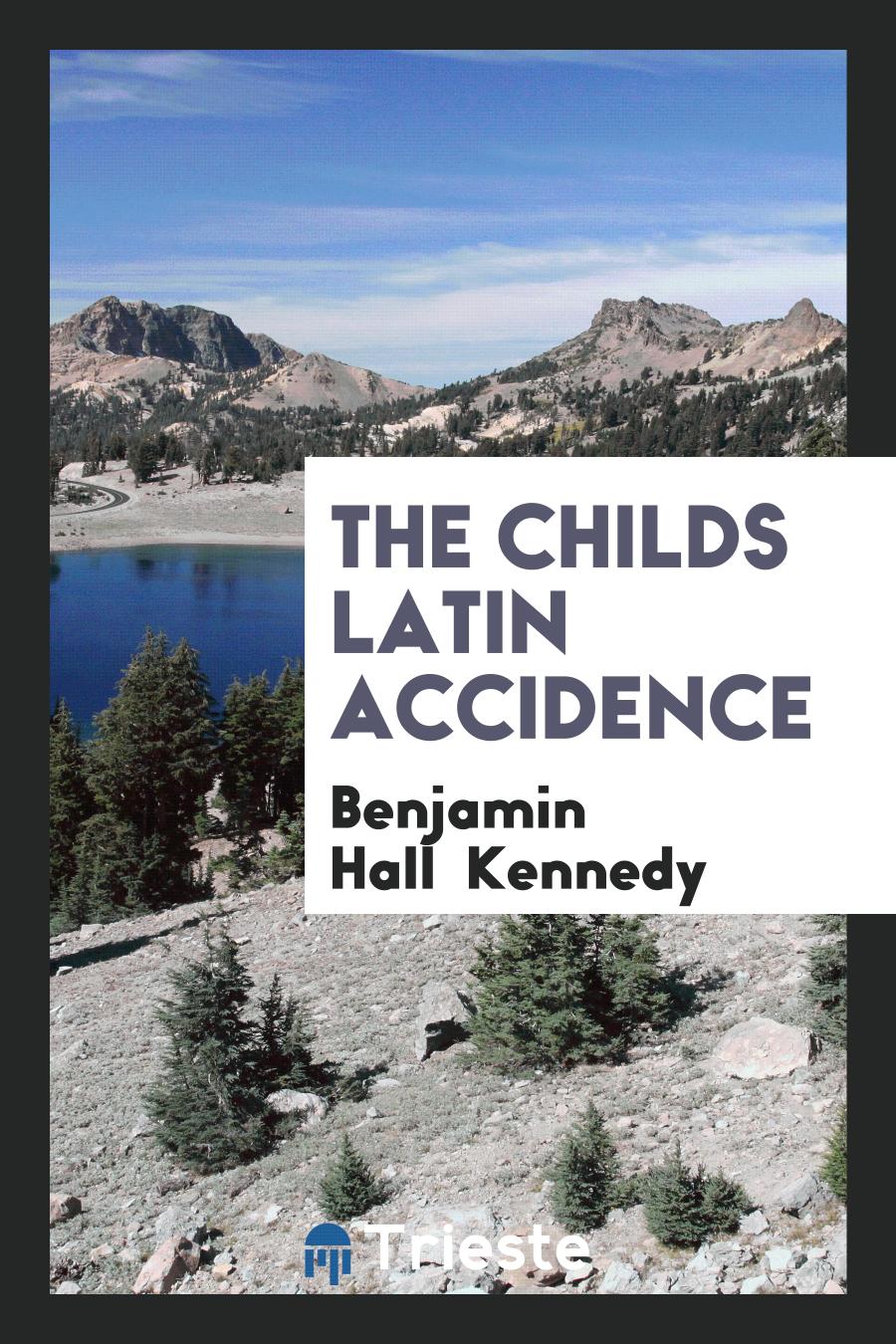 The childs latin accidence