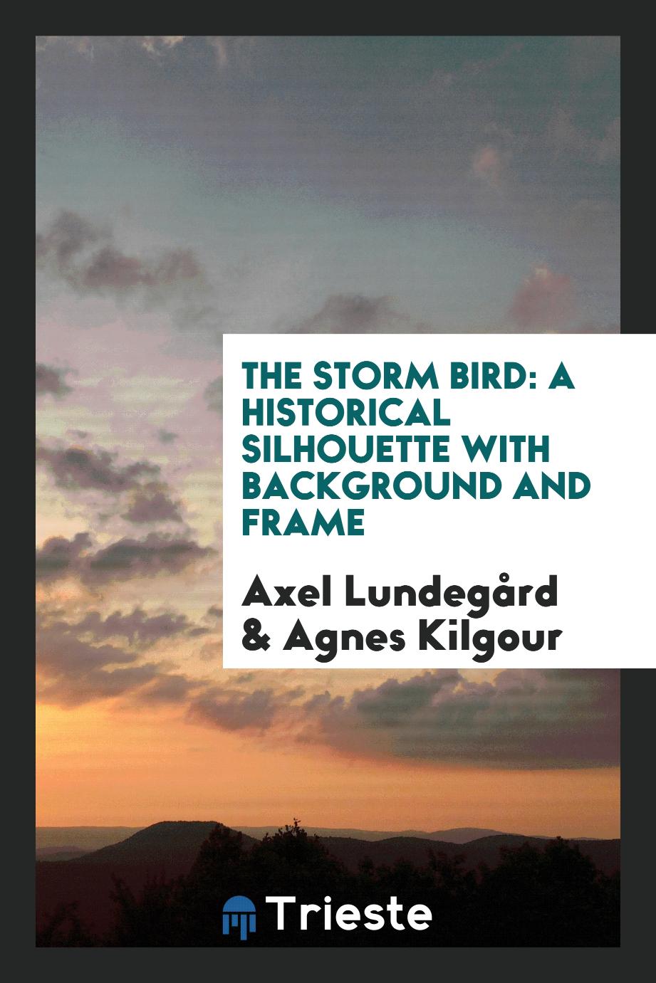 The Storm Bird: A Historical Silhouette with Background and Frame