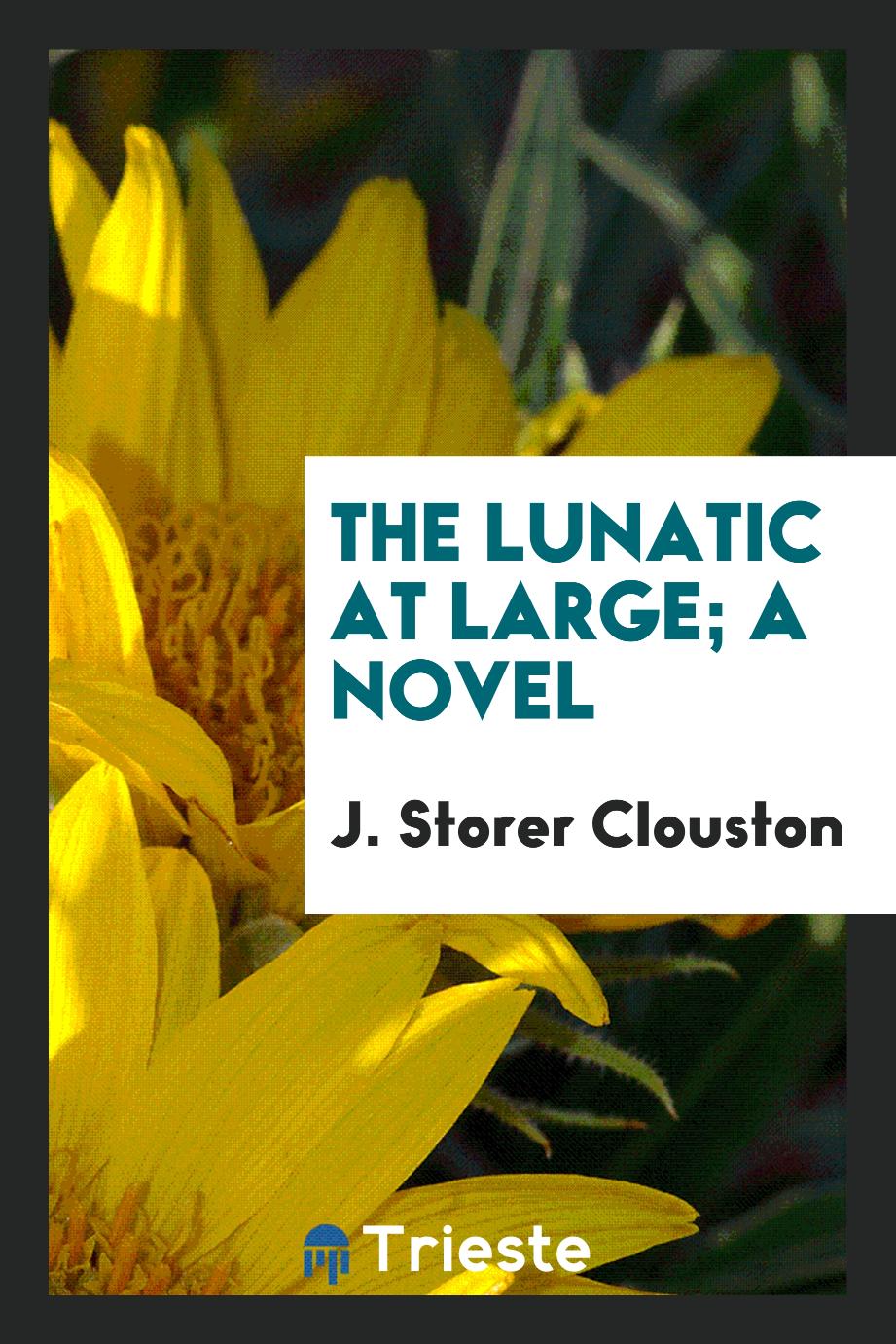 The lunatic at large; a novel