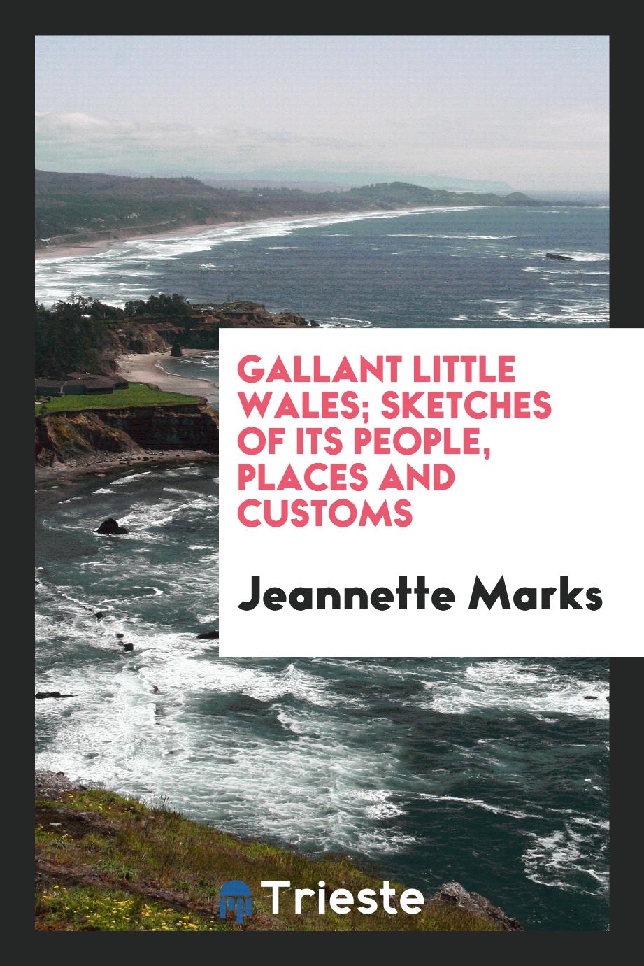 Gallant little Wales; sketches of its people, places and customs