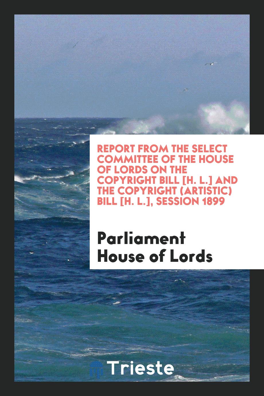 Report from the Select Committee of the House of Lords on the Copyright Bill [H. L.] and the Copyright (Artistic) Bill [H. L.], Session 1899