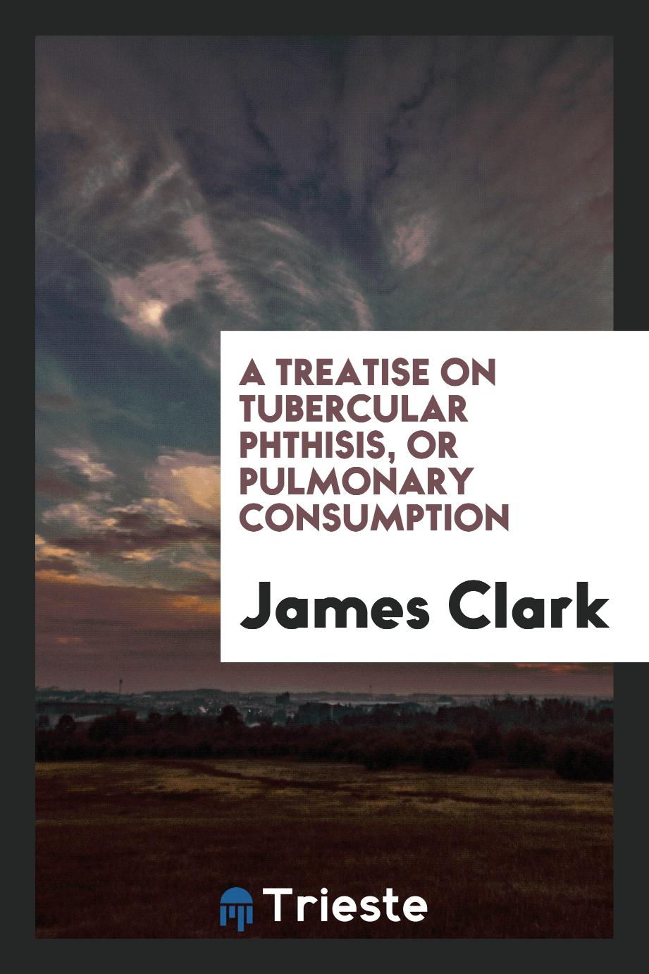 A Treatise on Tubercular Phthisis, Or Pulmonary Consumption