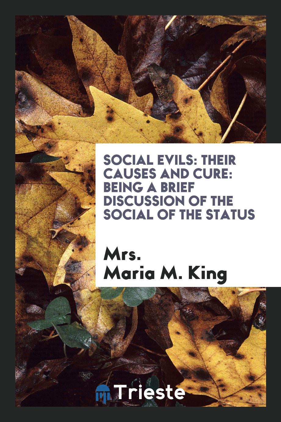 Social Evils: Their Causes and Cure: Being a Brief Discussion of the Social of the Status