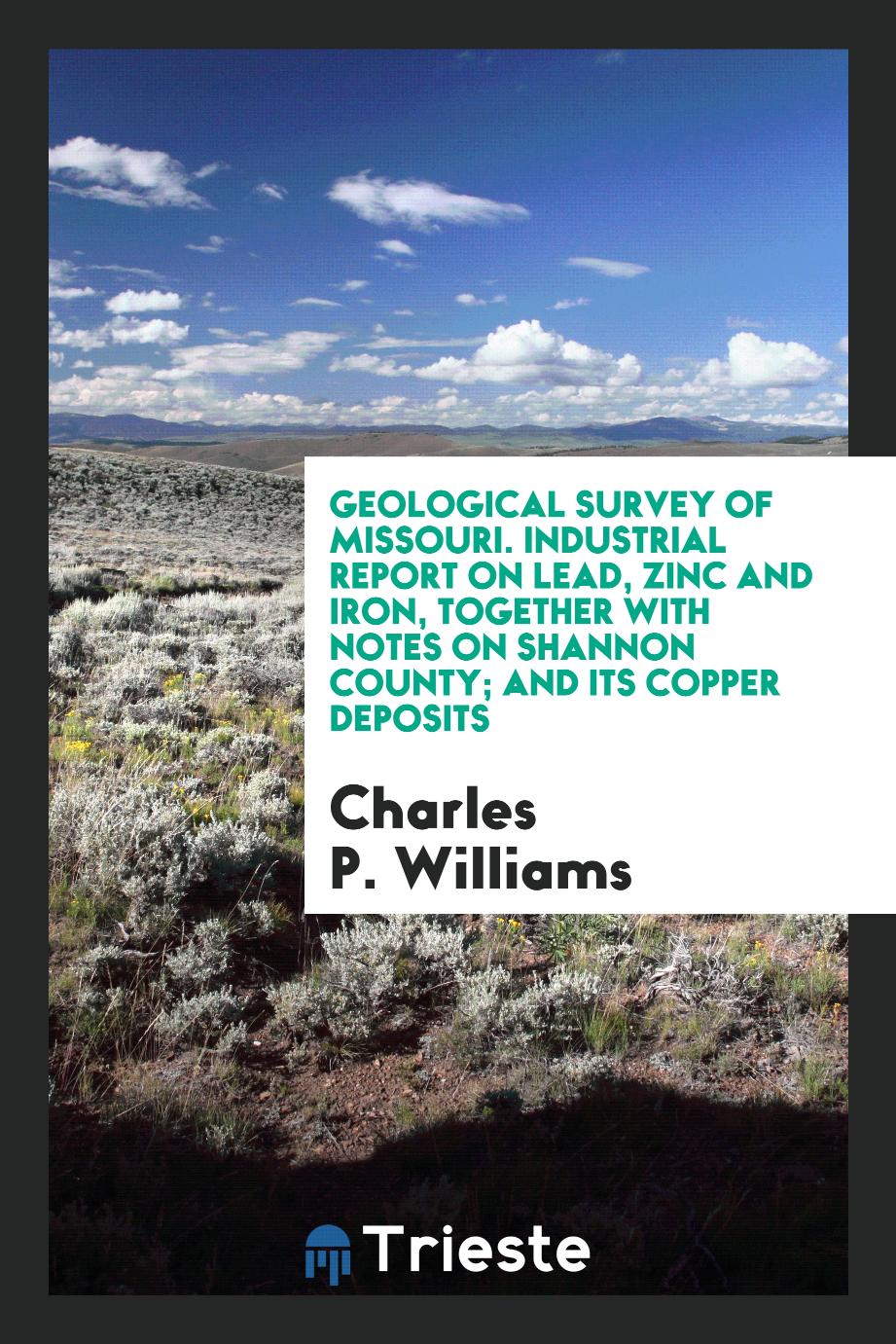 Geological Survey of Missouri. Industrial Report on Lead, Zinc and Iron, Together with Notes on Shannon County; And Its Copper Deposits
