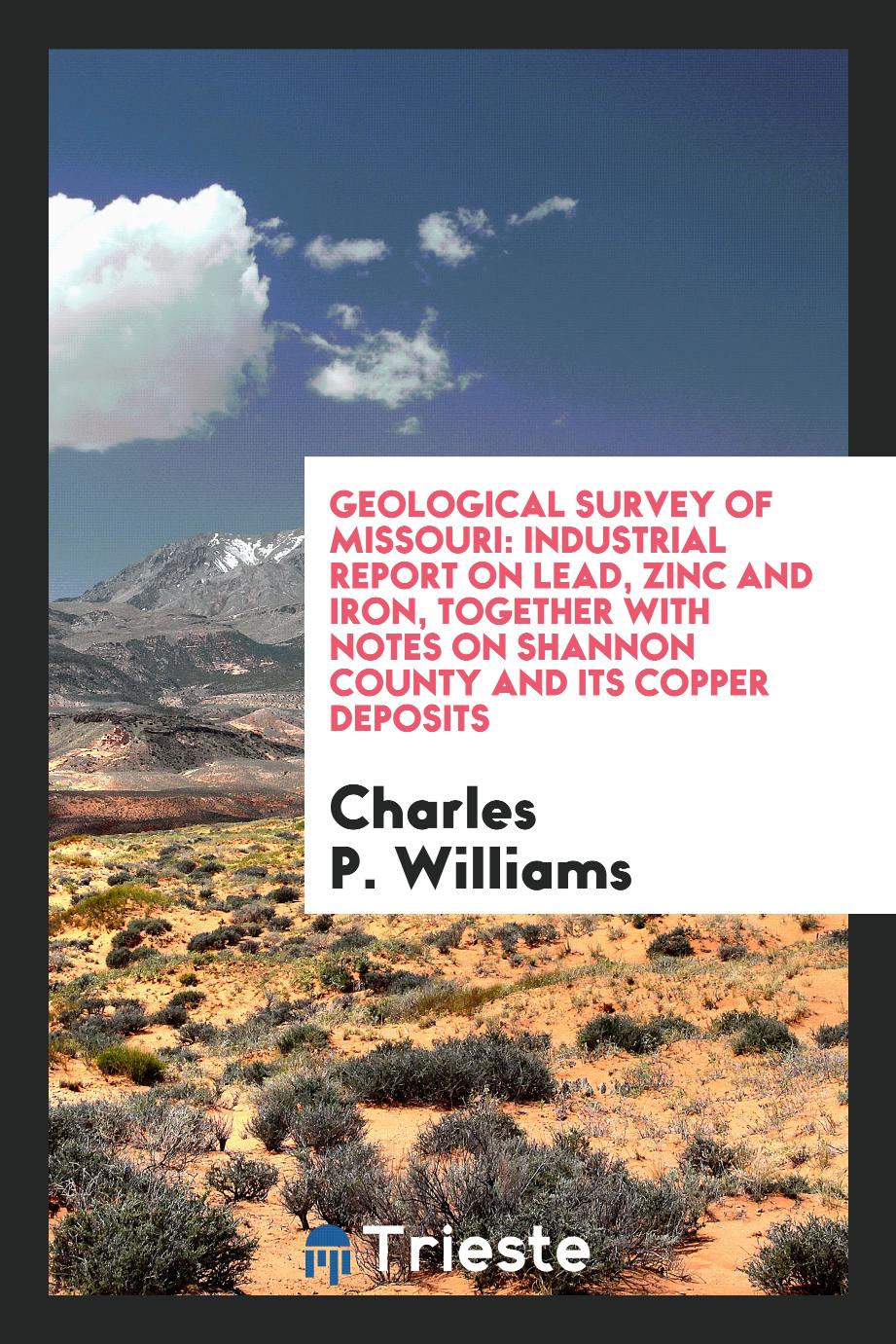 Geological Survey of Missouri: Industrial Report on Lead, Zinc and Iron, Together with Notes on Shannon County and Its Copper Deposits