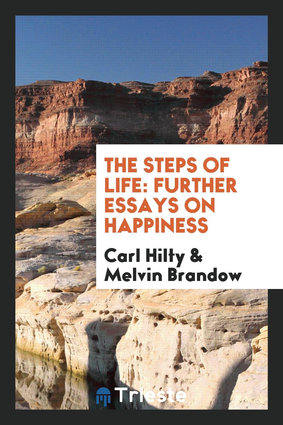 The steps of life: further essays on happiness