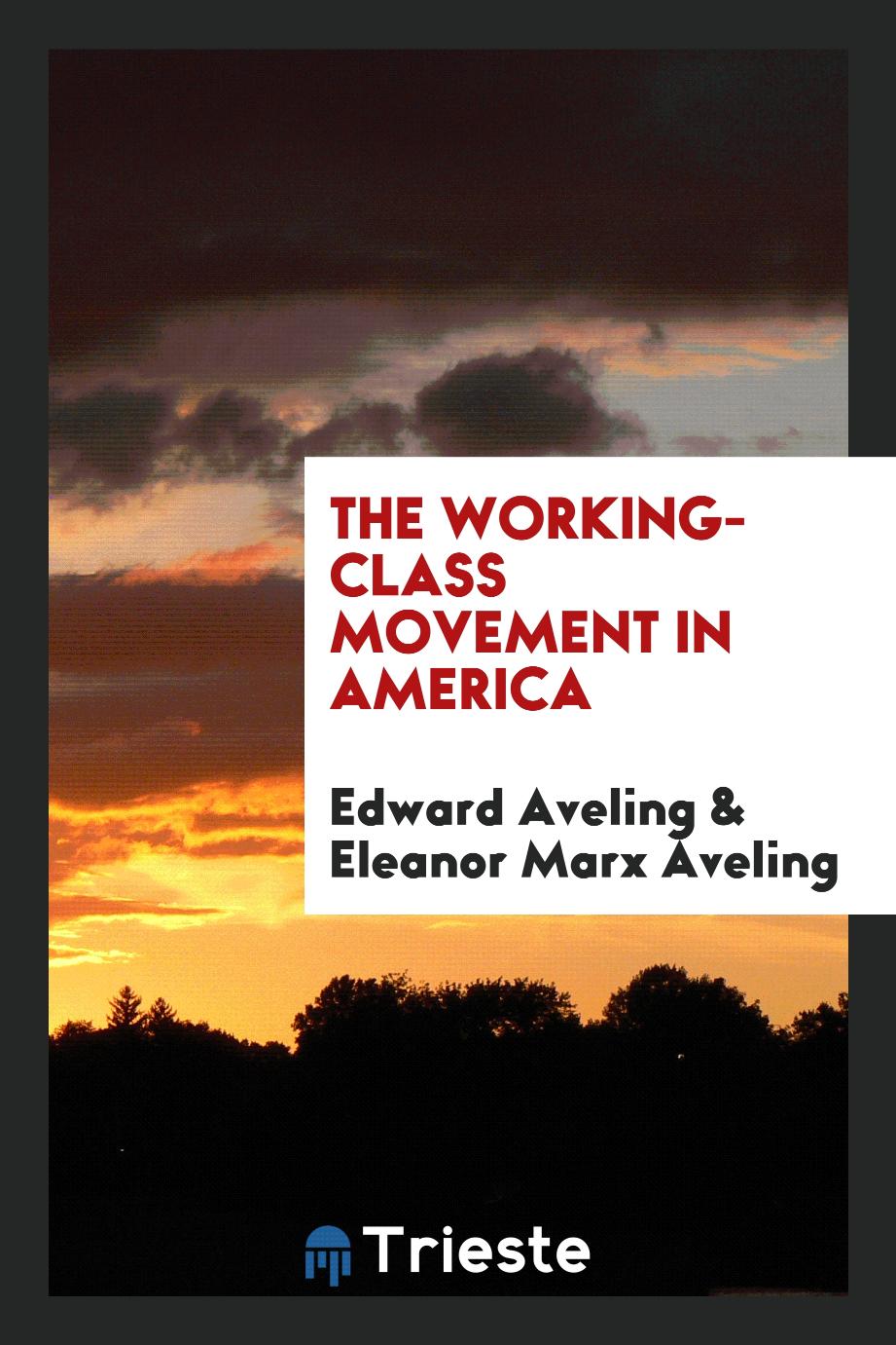 The working-class movement in America