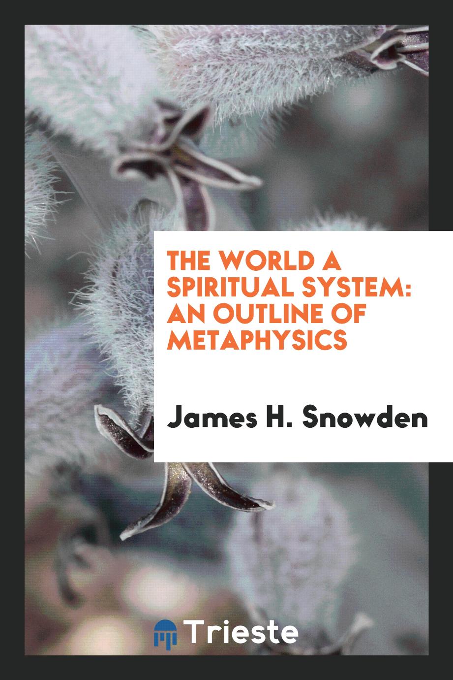 The World a Spiritual System: An Outline of Metaphysics
